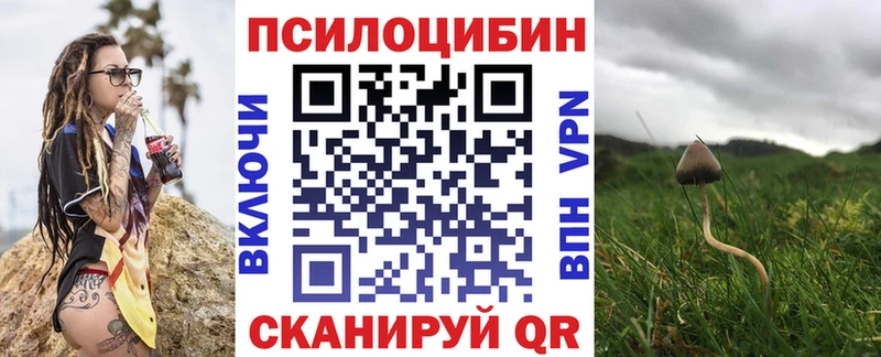 даркнет сайт  Котово  мега рабочий сайт  Псилоцибиновые грибы Magic Shrooms 