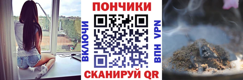 Бошки марихуана сатива купить наркоту Котово
